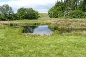 The lake has beeches and mown grass areas to make this a peaceful place for peop