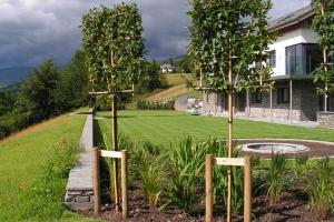 Pleached trees creates a screen that ends the formal lawn and creates a private 