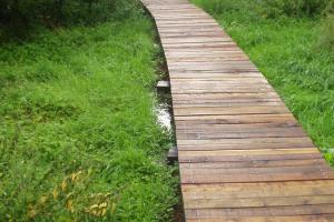 Board walk over an area with a fluctuating water level