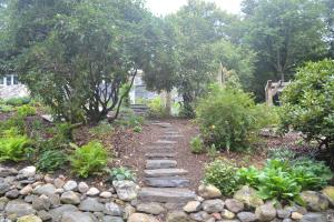 Stream and stepping stones through rhododendron garden