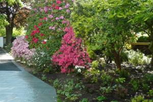 Garden care and gardening Windermere